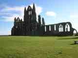 abbey0211.jpg