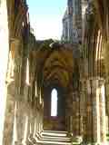 abbey0214.jpg